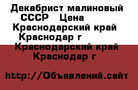 Декабрист малиновый СССР › Цена ­ 100 - Краснодарский край, Краснодар г.  »    . Краснодарский край,Краснодар г.